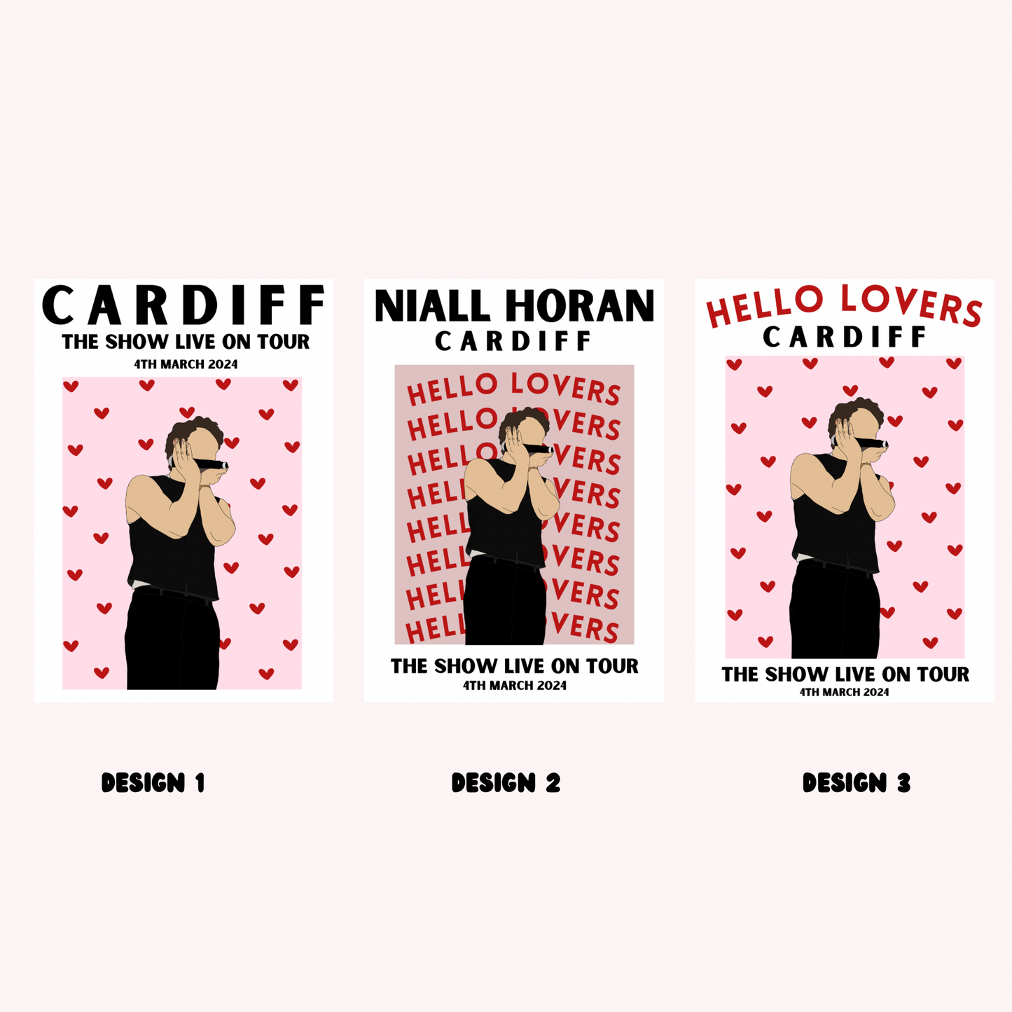 Niall Horan Cardiff Poster | The show live on tour poster | TSLOT 24